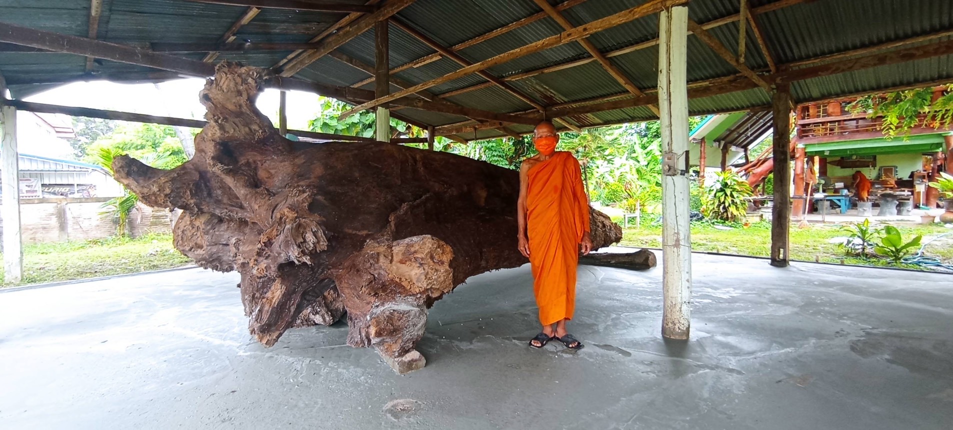เหลือเชื่อ!! เจอต้นตะเคียนใหญ่ในอ่างเก็บน้ำแต่ฉุดไม่ขึ้น ต้องทำพิธีขอขมา ชาวบ้านแห่ขอเลขเด็ด