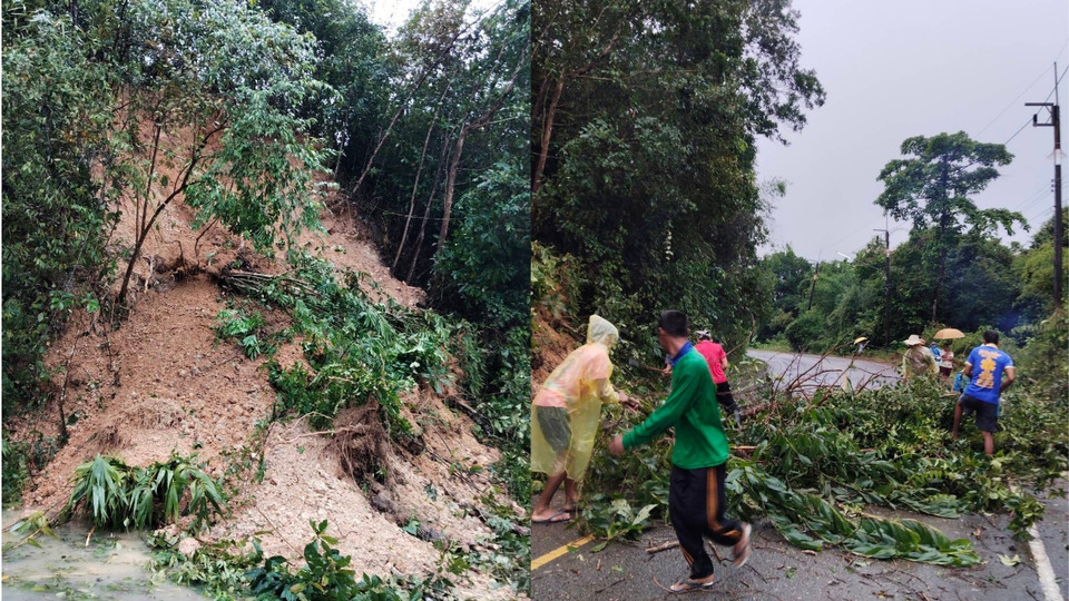 ฝนถล่มพังงา! ดินสไลด์–ต้นไม้ใหญ่ล้มขวางถนนบ้านบางม่า ชาวบ้านเร่งเคลียร์เปิดเส้นทาง