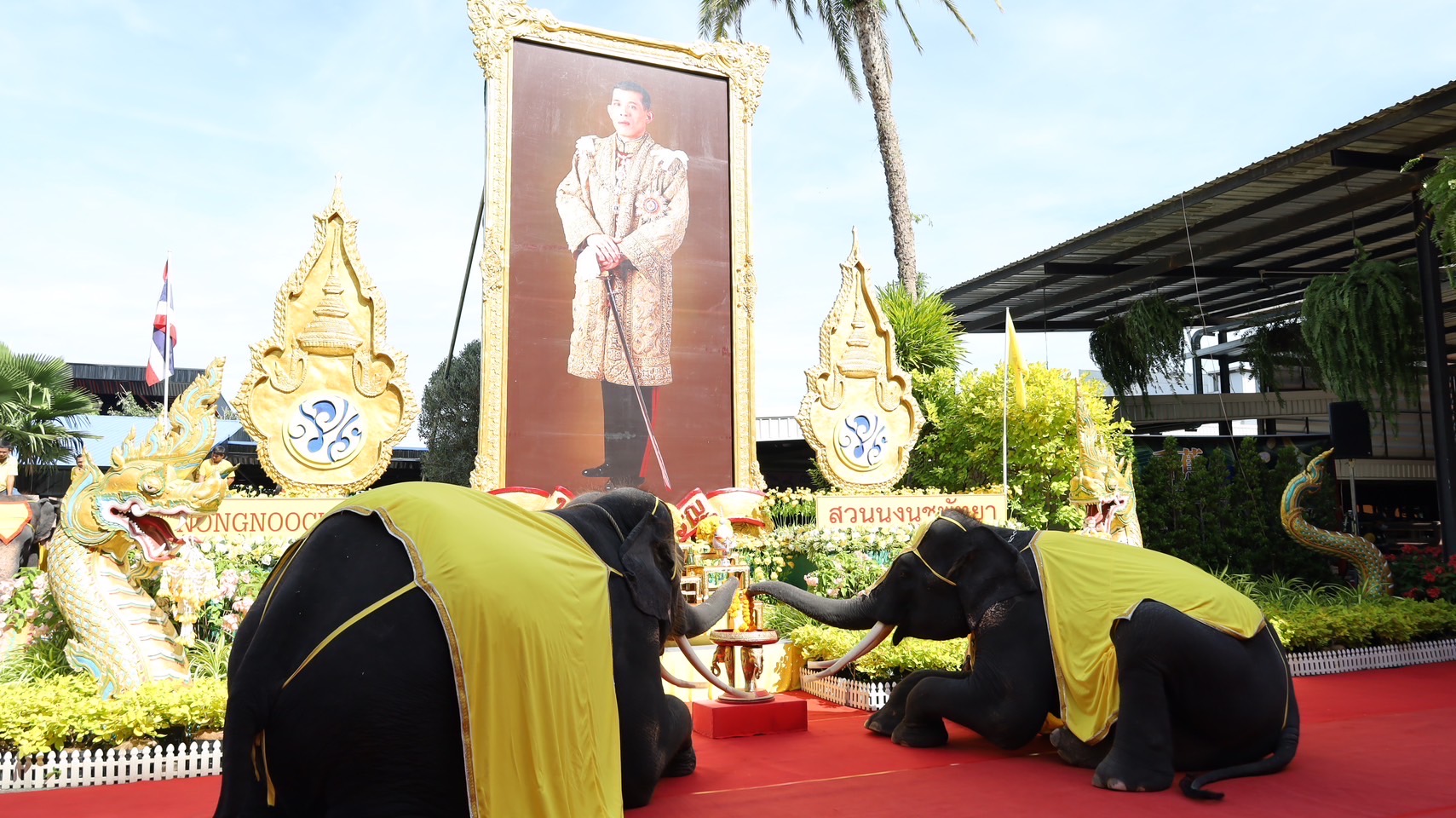 สวนนงนุชนำช้างแสนรู้ 72 เชือกเฉลิมพระเกียรติเนื่องในโอกาสเฉลิมพระชนมพรรษาพระบาทสมเด็จพระวชิรเกล้าเจ้าอยู่หัว