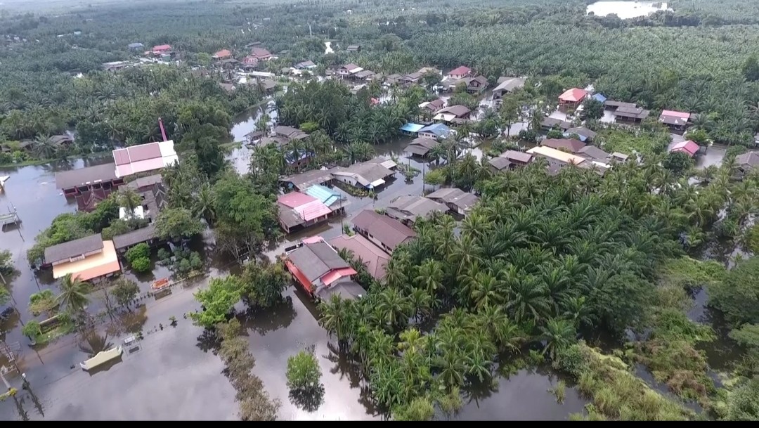 ลุ่มน้ำปากพนังอ่วม​ ภาพมุมสูงชุมชนบางบูชา
