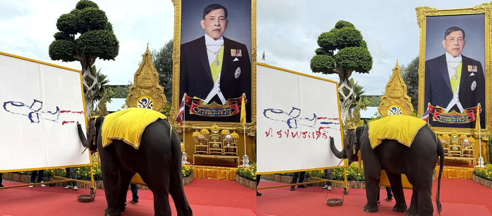 สวนนงนุชพัทยาถวายราชสดุดี 74 พรรษา ช้างแสนรู้วาดภาพถวายพระพรสุดประทับใจ