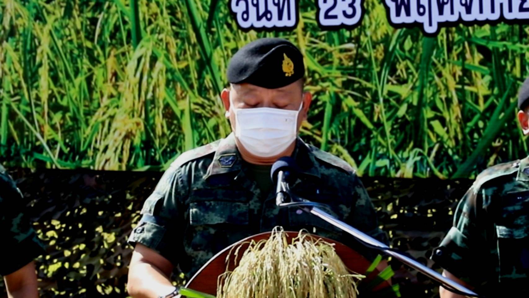 แม่ทัพภาคที่ 3​ ผู้ว่าฯพิจิตร ร่วมลงแขกเกี่ยวข้าวเมล็ดพันธุ์พระราชทาน