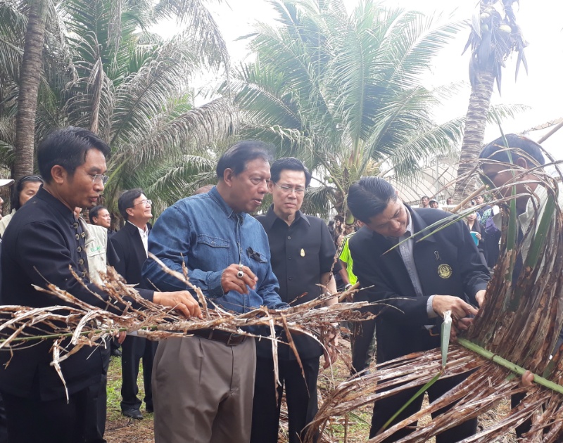 อธิบดีกรมส่งเสริมการเกษตร ย้ำการจัดซื้อสารเคมี เป็นธรรม ถูกต้อง โปร่งใส