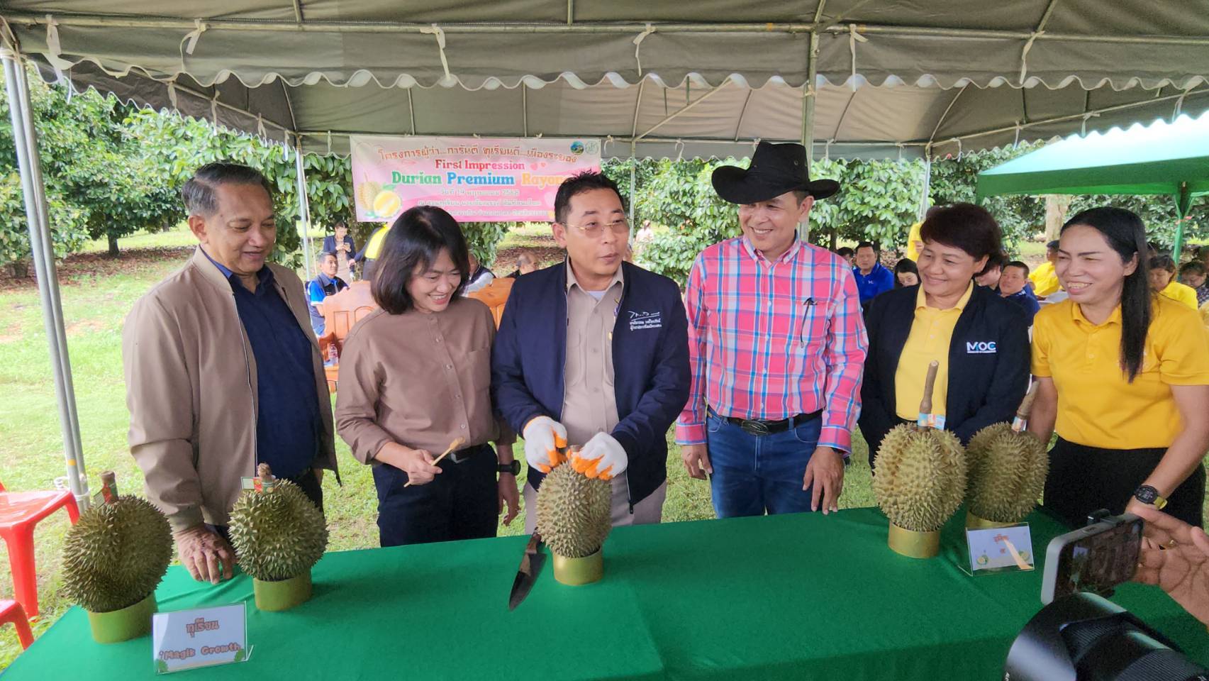 ผู้ว่าฯระยองเปิดตัวทุเรียนพรีเมียมขยายกลุ่มผู้บริโภคที่มีความต้องการทุเรียนที่เป็นเอกลักษณ์พิเศษไม่เหมือนใคร
