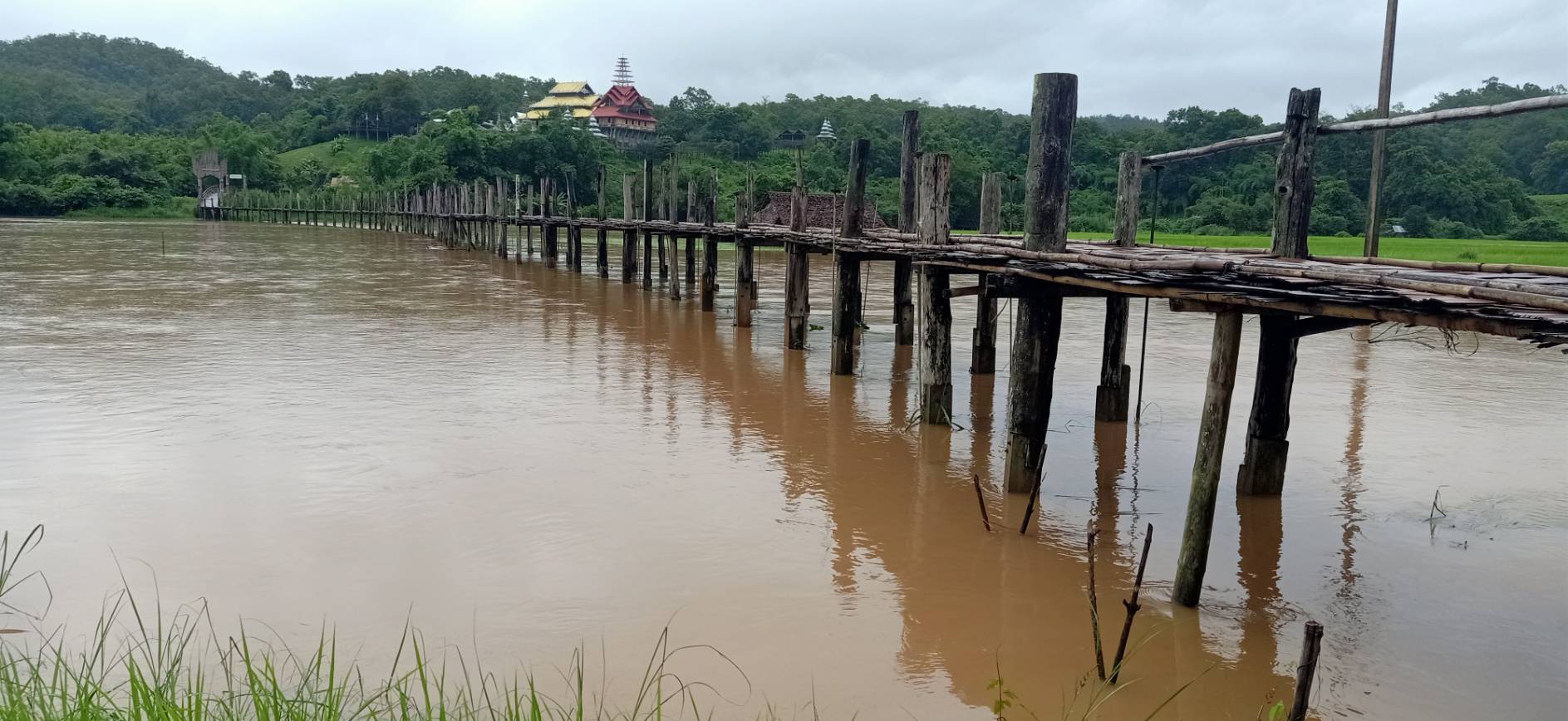 แม่น้ำแม่สะงาหลากท่วมนาบริเวณสะพานซูตองเป้ บ้านกุงไม้สัก เสียหายกว่า 10 ไร่