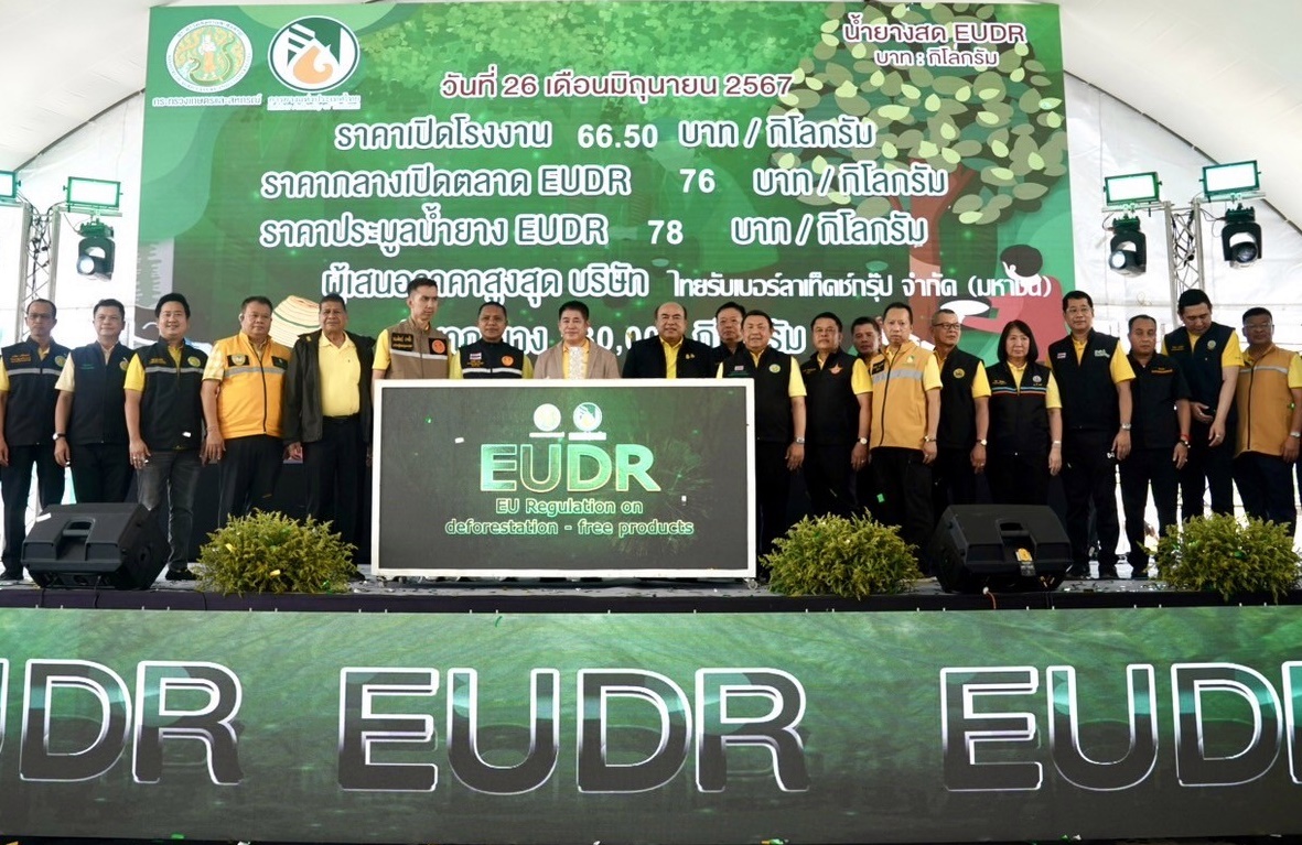 เปิดซื้อขายน้ำยางสด EUDR ครั้งแรก! มุ่งเสริมแกร่งห่วงโซ่ยางไทยทั้งระบบ