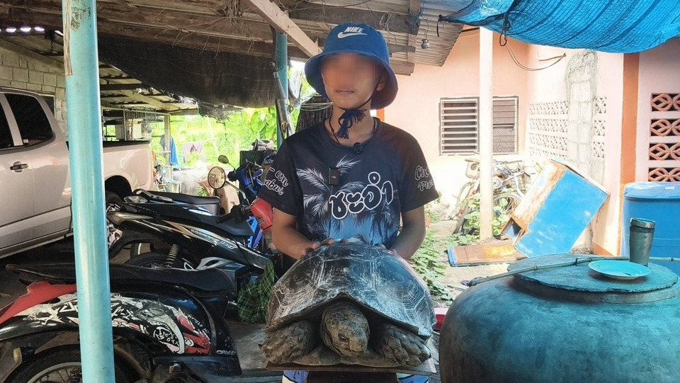 ฮือฮา! หนุ่มวัย 16 ปี พบ “เต่าหกดำ” ยักษ์หนัก 23 กก. คอหวยแห่ส่องเลขเด็ดก่อนหวยออก