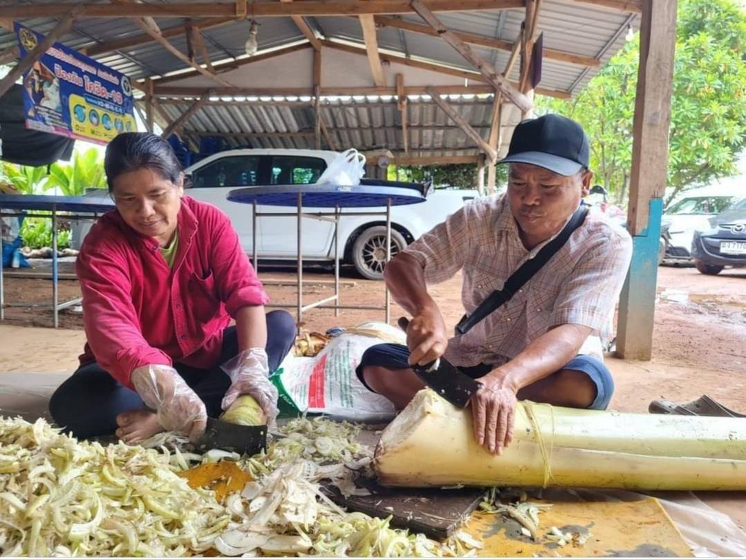 เกษตรบางน้ำเปรี้ยวร่วมอบต. ลงพื้นที่เยี่ยมเยียนเกษตรกรตามระบบส่งเสริมการเกษตร (T&V System)   