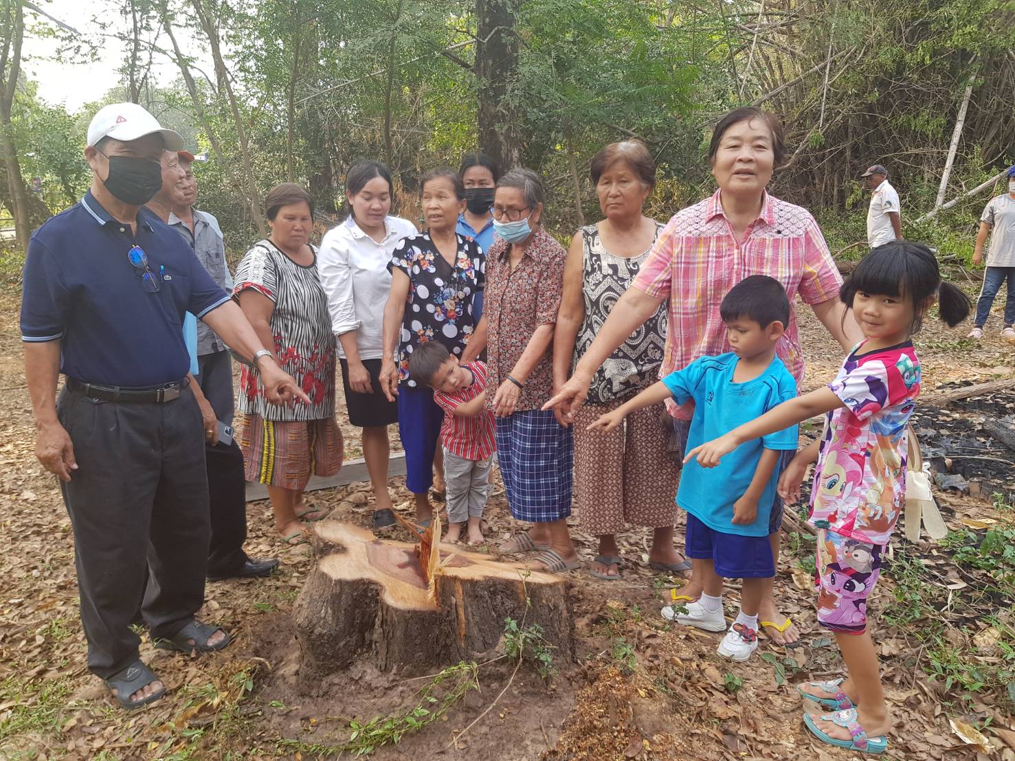  จี้ ตร.เร่งจับแก๊งมอดไม้​ บุกพังรั้ว รร.ลอบตัดต้นพะยูงอายุกว่า 100 ปี 2 คืนซ้อน​ วงจรปิดชัด