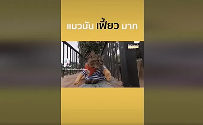 สศร.เปิดตัวคลิป “แมวมันเฟี้ยวมาก” โปรโมทมหกรรมศิลปะฯ เบียนนาเล่ โคราช