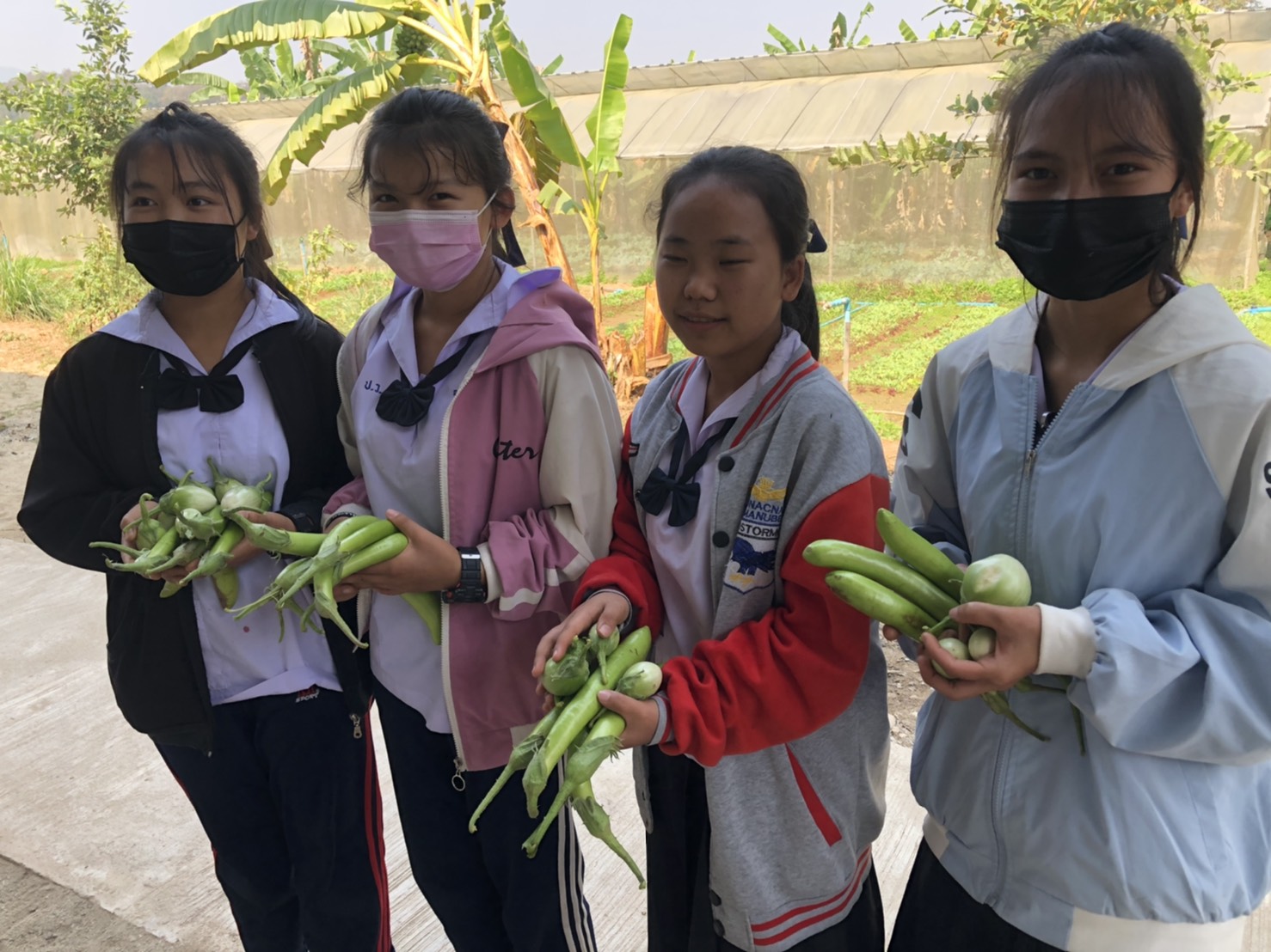 ห่วงสารเคมีการเกษตรไหลลงแหล่งน้ำธรรมชาติอื้อ ชาวเวียงแก่นป่วย-ตายด้วยมะเร็งพุ่ง