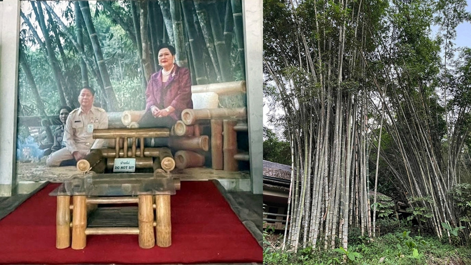 ทสจ.แม่ฮ่องสอน น้อมนำแนวพระราชดำริ “พระพันปีหลวง” ขยายผลศูนย์ไผ่ศึกษา สร้างแหล่งเรียนรู้เยาวชน