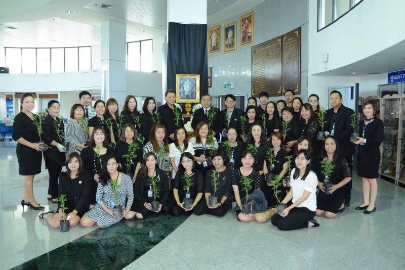 ชาว ชสอ. ร่วมใจปลูกดอกดาวเรือง น้อมรำลึกในหลวง ร.9 