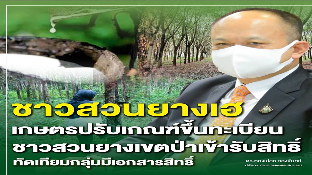 กยท. ปรับเกณฑ์ขึ้นทะเบียนชาวสวนยางเขตป่าเข้ารับสิทธิ์ทัดเทียมกลุ่มมีเอกสารสิทธิ์ 
