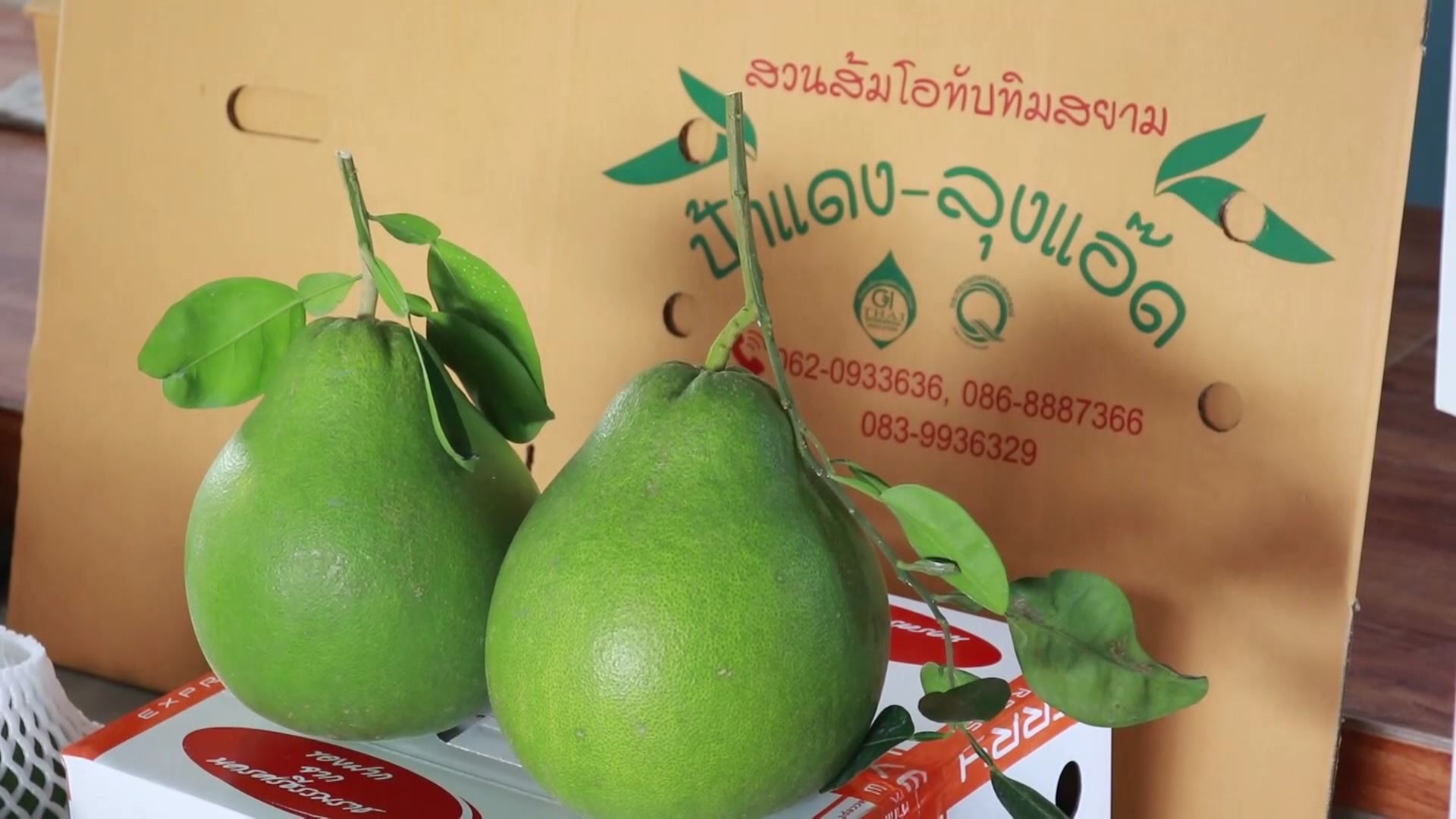 พิษโควิด19ลามทำ"ส้มโอทับทิมสยาม"ส่งออกไปจีนไม่ได้
