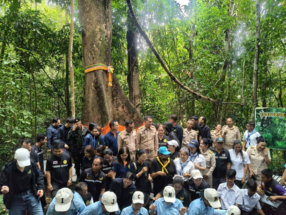 ป่าชุมชนบ้านห้วยใหญ่ ชุมพร ชิงรางวัลระดับประเทศ โชว์ป่าดิบชื้นสมบูรณ์ ต้นตะเคียน 200 ปี