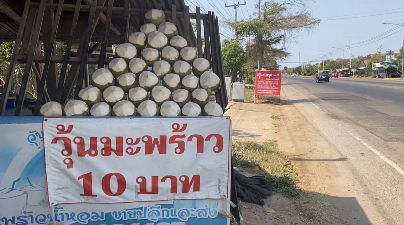นครพนมร้อนจัดทะลุ 40 องศา ร้านค้าริมทางมะพร้าวน้ำหอมแช่เย็นขายดี