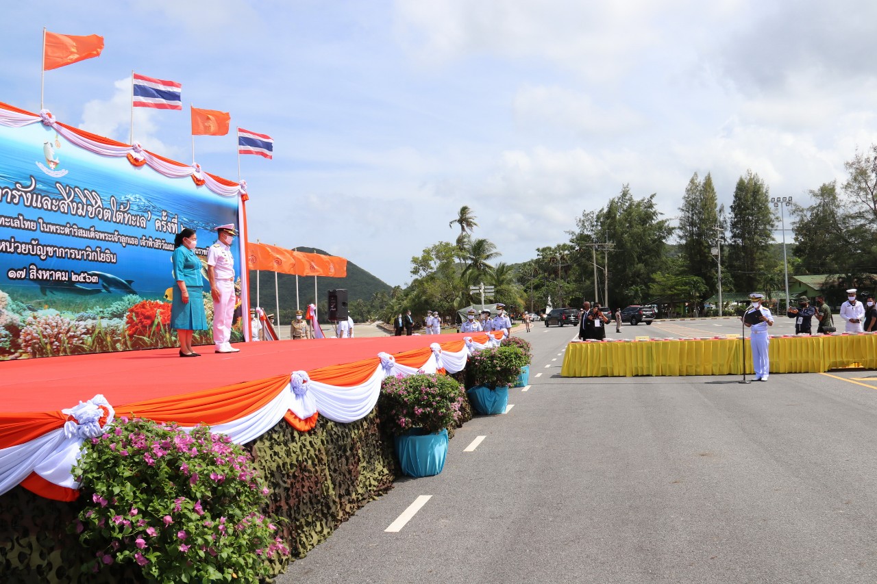 กองทัพเรือจัดกิจกรรมอนุรักษ์แนวปะการังและสิ่งมีชีวิตใต้ทะเล ปลูกปะการังปล่อยเต่าทะเล