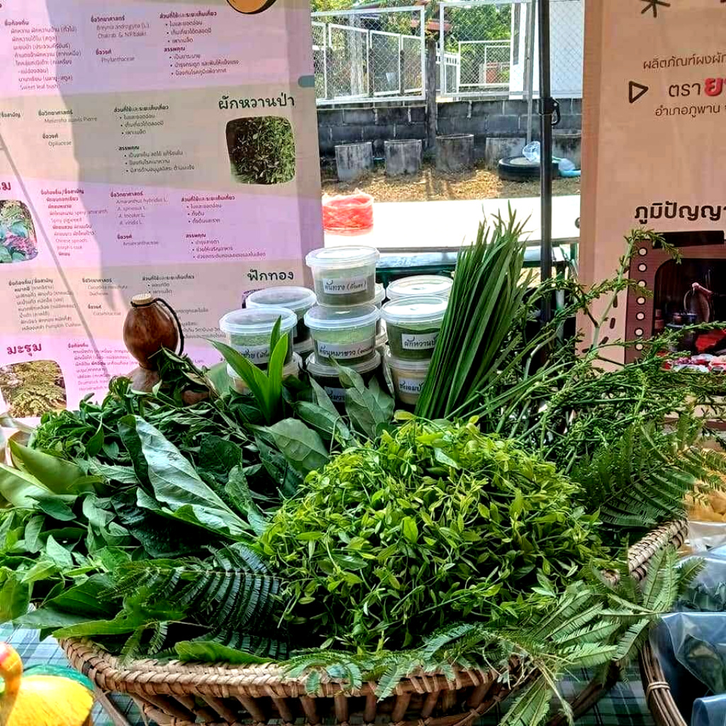 สวนเกษตรอินทรีย์ สร้างคุณค่าผักบ้าน สู่ "เครื่องปรุงรสนัว"