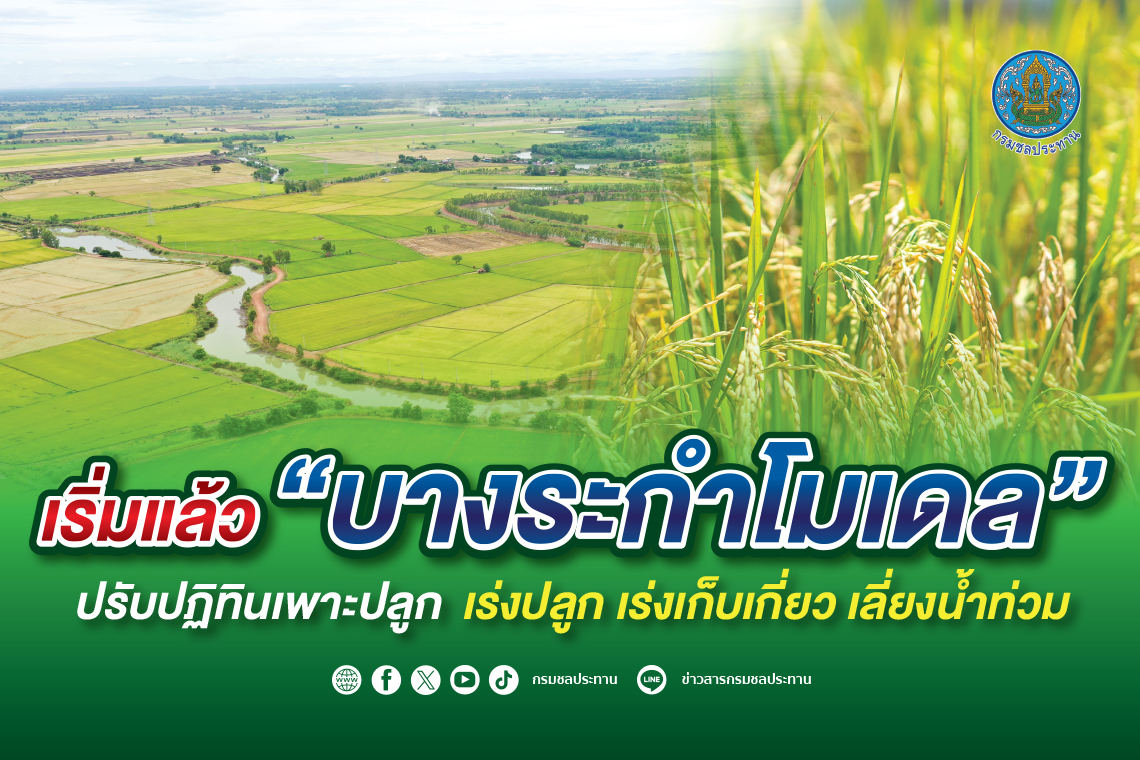"บางระกำโมเดล" เริ่มแล้ว!! ปรับปฏิทินเพาะปลูก เร่งปลูก-เก็บเกี่ยว เลี่ยงน้ำท่วม