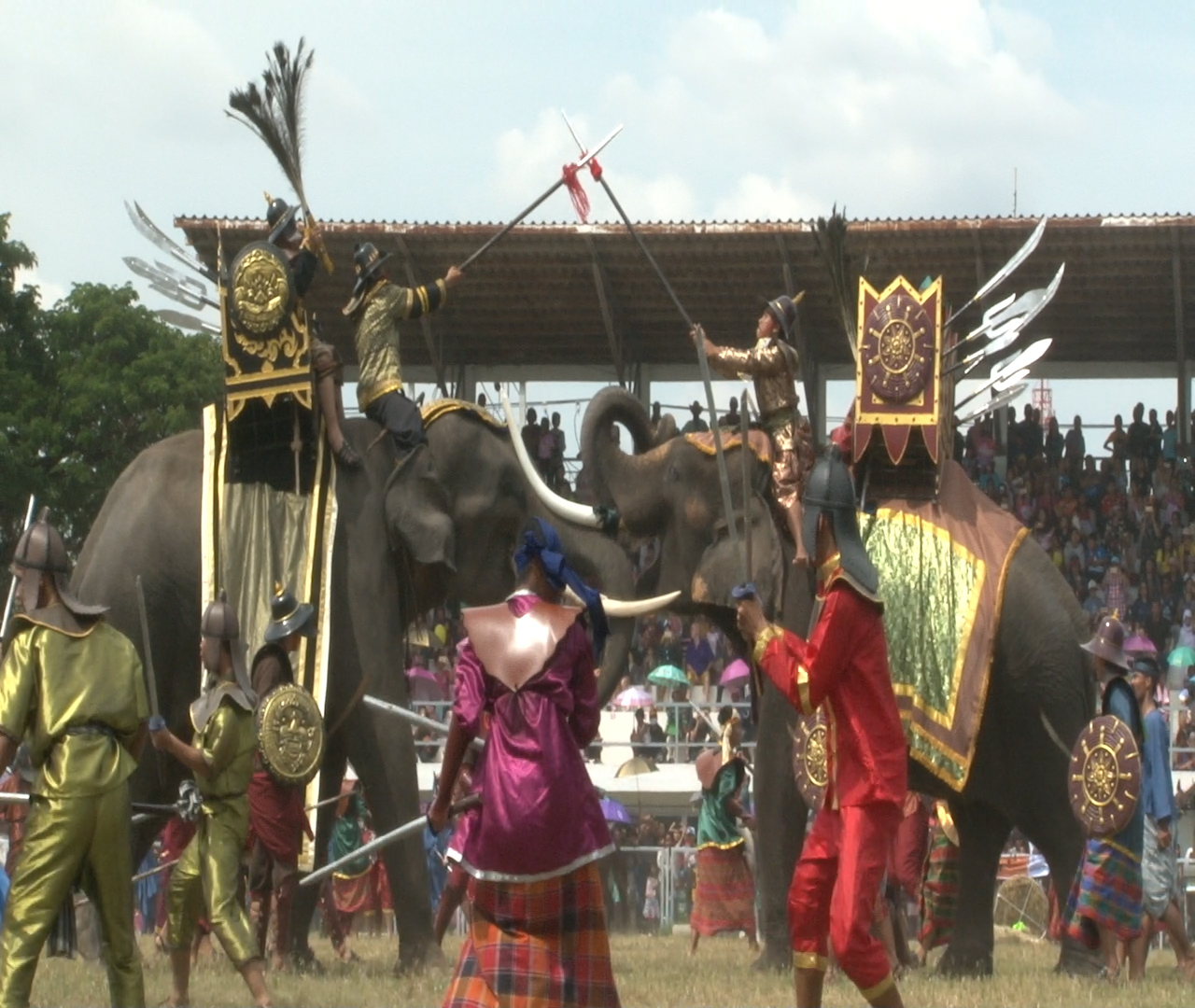  นทท.นับหมื่นแห่ชมการแสดงช้างแสนรู้เมืองสุรินทร์