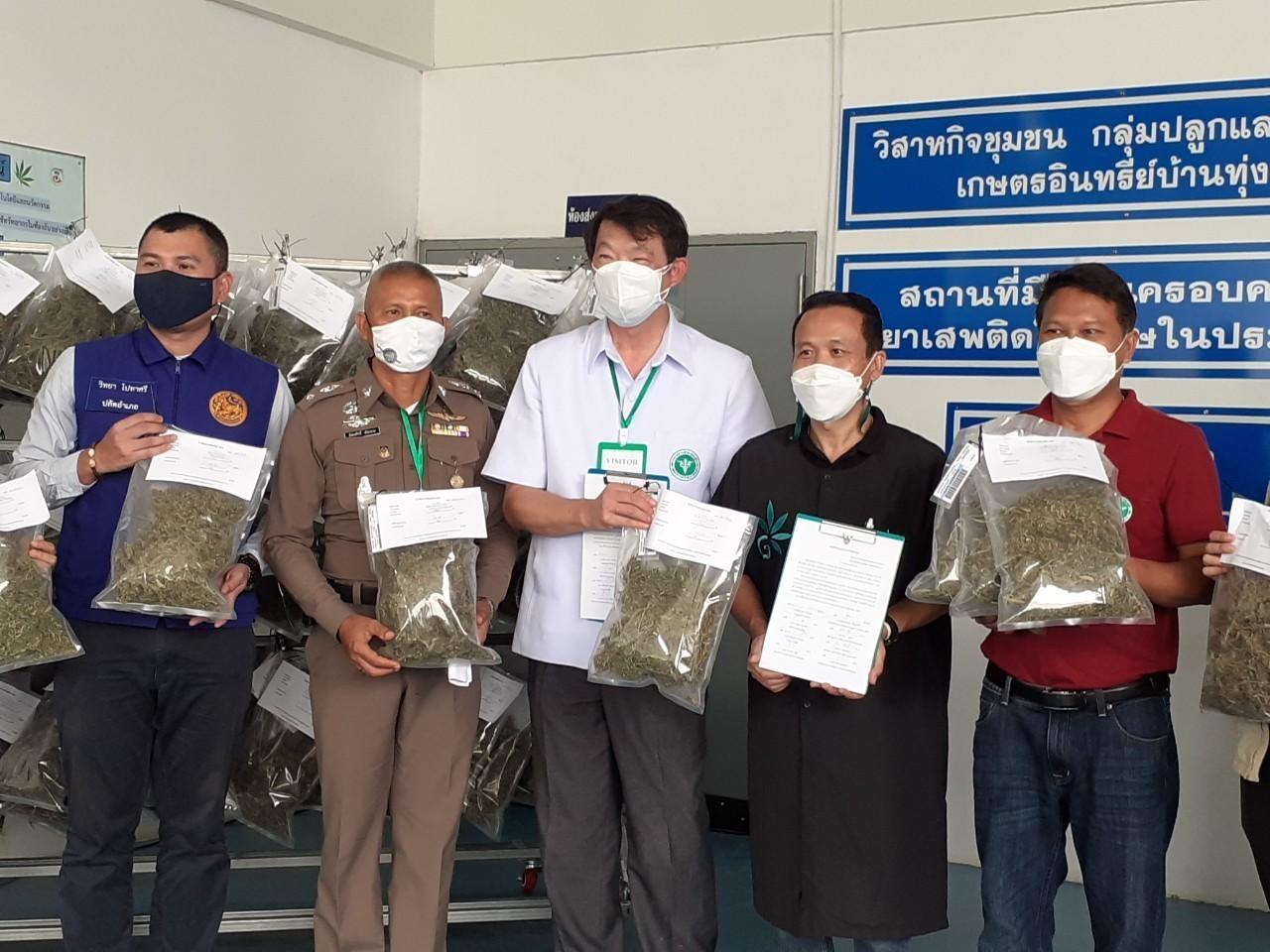 "วิสาหกิจชุมชนฯบ้านทุ่งแพม" ส่งมอบกัญชาแห้งให้ "รพ.ดอนตูม" ใช้ปรุงตำรับยาสมุนไพรไทย