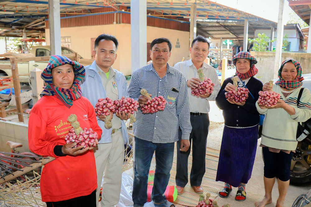 ยโสธร บูรณาการหน่วยงานพื้นที่ เพิ่มช่องทางการตลาดสร้างเครือข่ายเกษตรกรสมาชิกแปลงใหญ่ผู้ปลูกหอมแดง