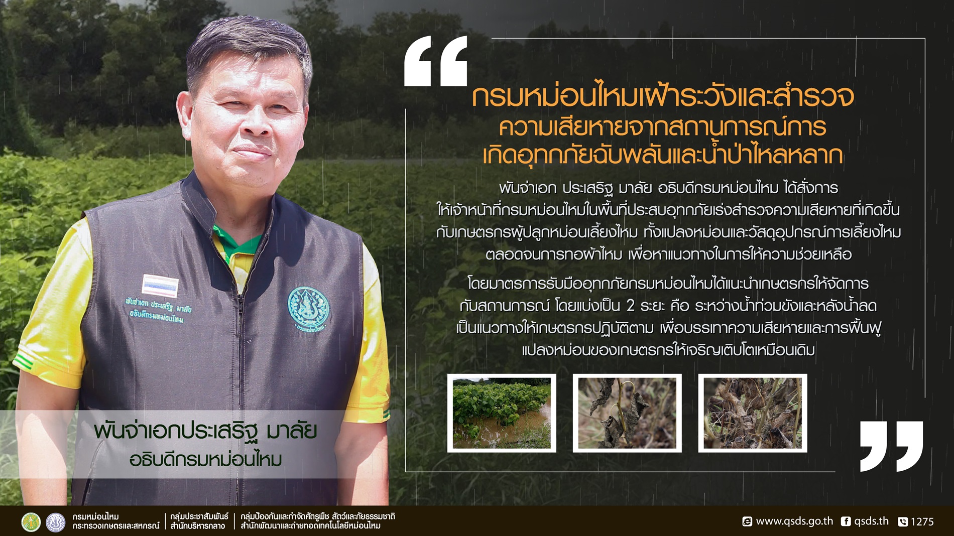 กรมหม่อนไหมแนะเกษตรกรดูแลแปลงหม่อนในสถานการณ์น้ำท่วม