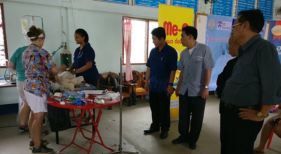 สำนักงานสหกรณ์จังหวัดเชียงราย จับมือปศุสัตว์จังหวัดเชียงราย ทำความดีถวายในหลวงรัชกาลที่ 9 เปิดบริการตรวจสุขภาพสัตว์เลี้ยงฟรี