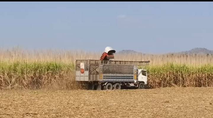 ผู้ว่าฯ อุทัยติวเข้ม “ตัดอ้อยสด–งดเผา” สะท้อนน้ำตาชาวไร่ ไม่ขอเป็นจำเลย PM 2.5 