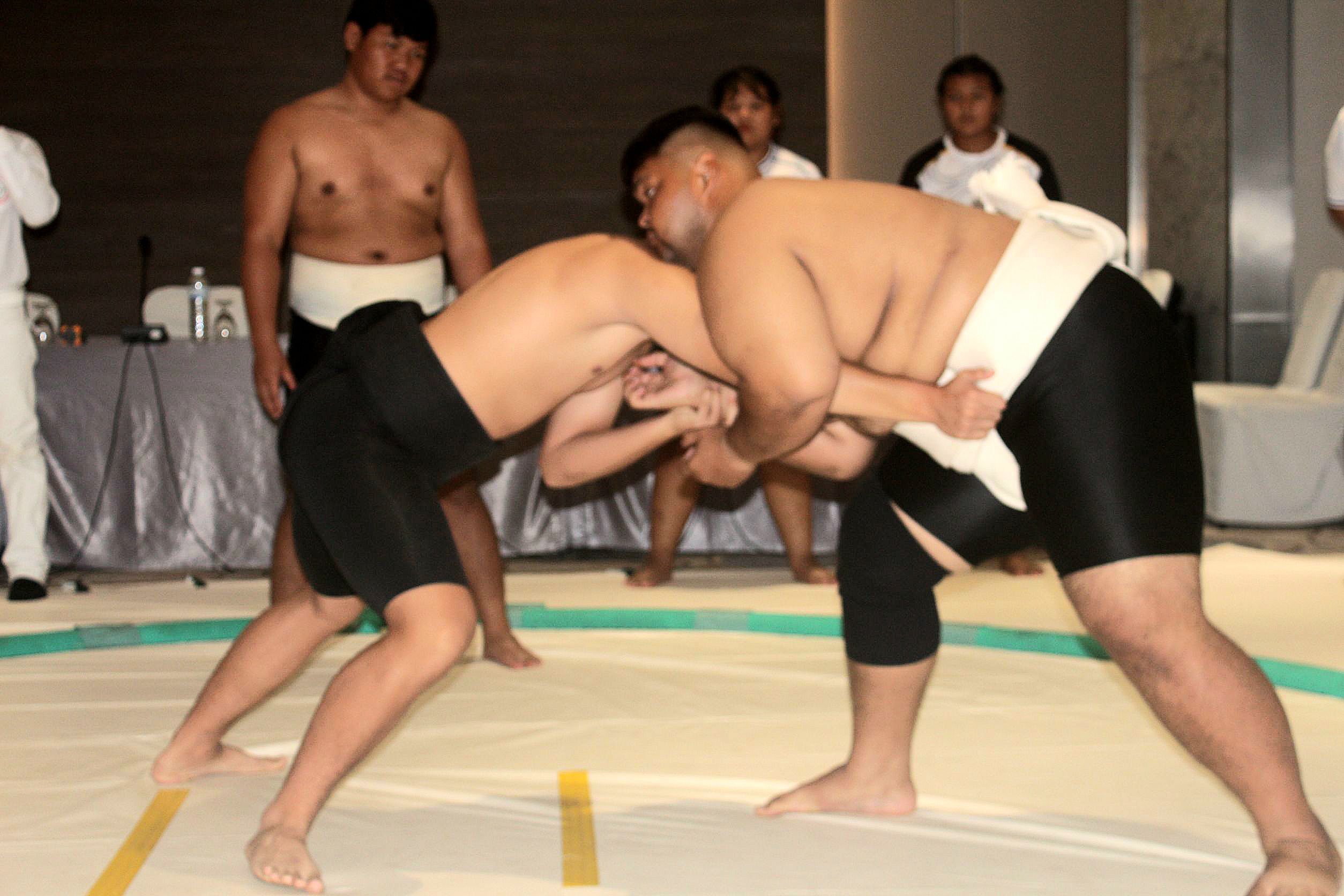 ส.กีฬาซูโม่ มั่นใจไทยเจ้าภาพ 3 รายการใหญ่สมศักดิ์ศรี