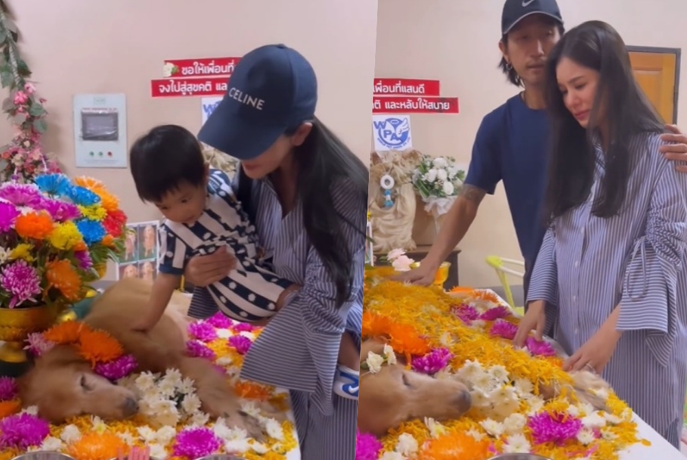 เศร้า! "ก้อย-ตูน" พา "น้องทะเล" ส่ง "ป้าเรนโบว์" กลับดาวหมา 