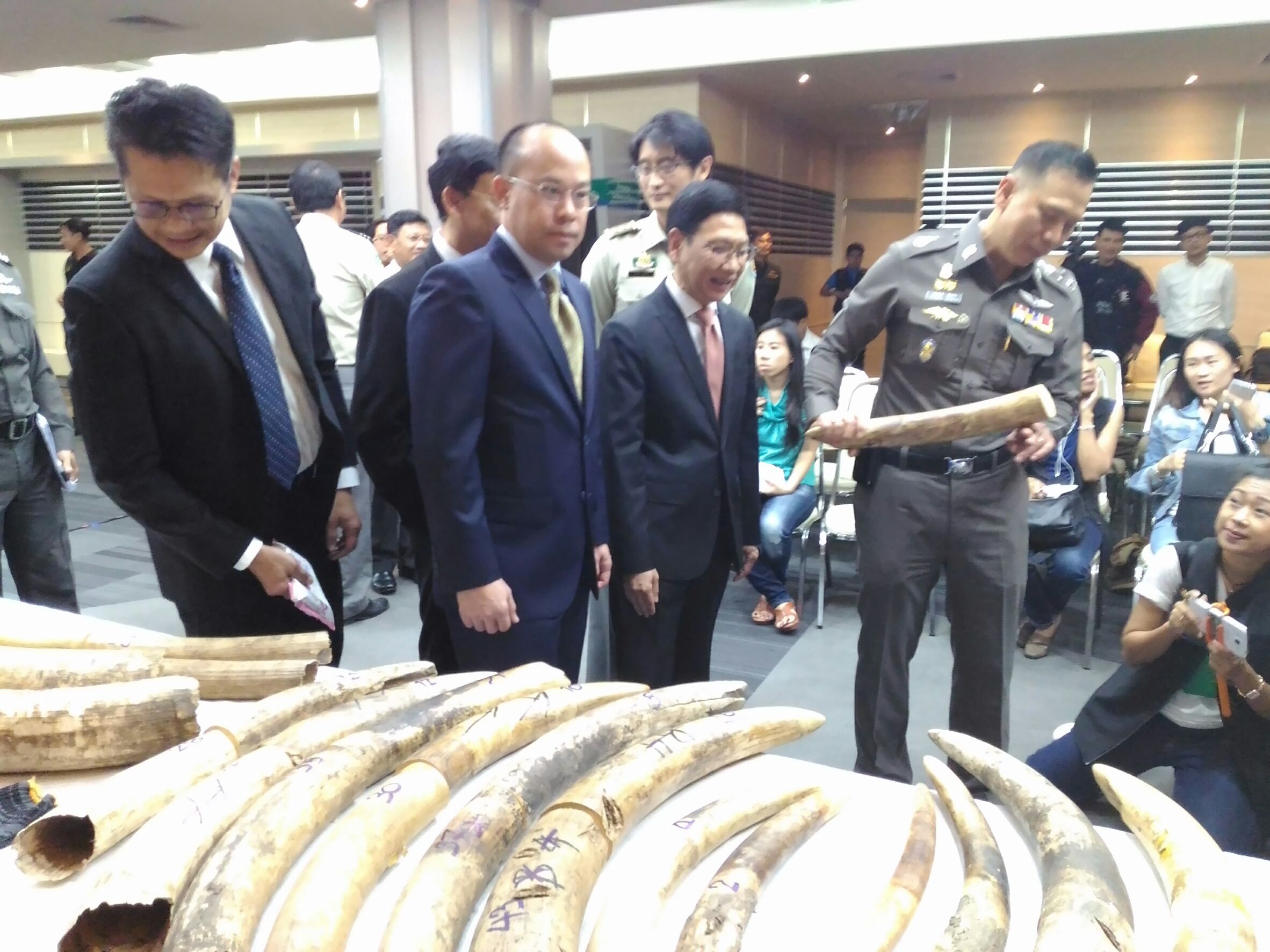 กรมศุลจับงาช้างเกล็ดลิ่ม มูลค่ากว่า 11 ล้าน