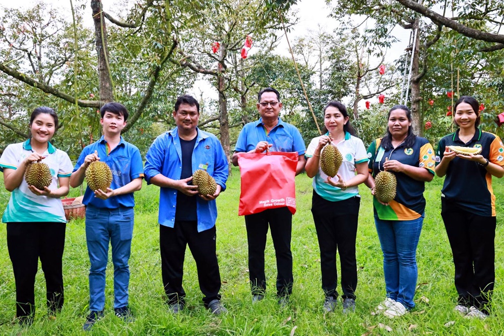 แปลงใหญ่ทุเรียนบ้านเขาหินแท่น ชูมาตรฐาน GAP นำนวัตกรรมถุงแดง EECi ห่อผลทุเรียน จนได้ทุเรียนมีคุณภาพ 