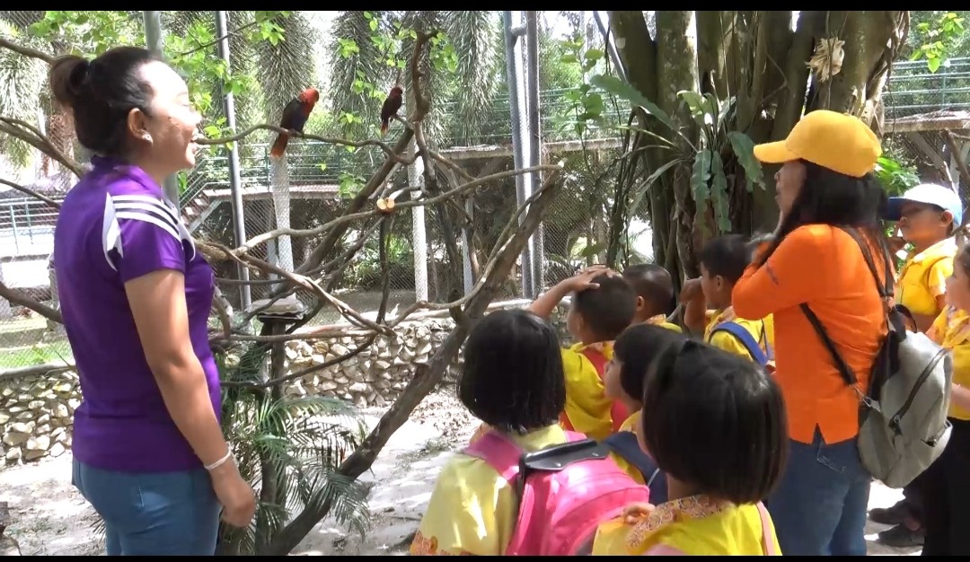 สวนสัตว์สงขลานำ2ลูกนกแก้วสมาขิกใหม่มาฝึกให้คุ้นนทท.