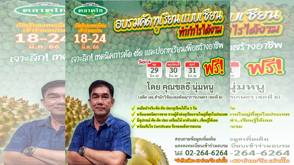 ตลาดไท เปิดอบรมฟรี!!! คัดทุเรียนแบบเซียน ทำกำไรได้งาม 29-31 มี.ค.นี้