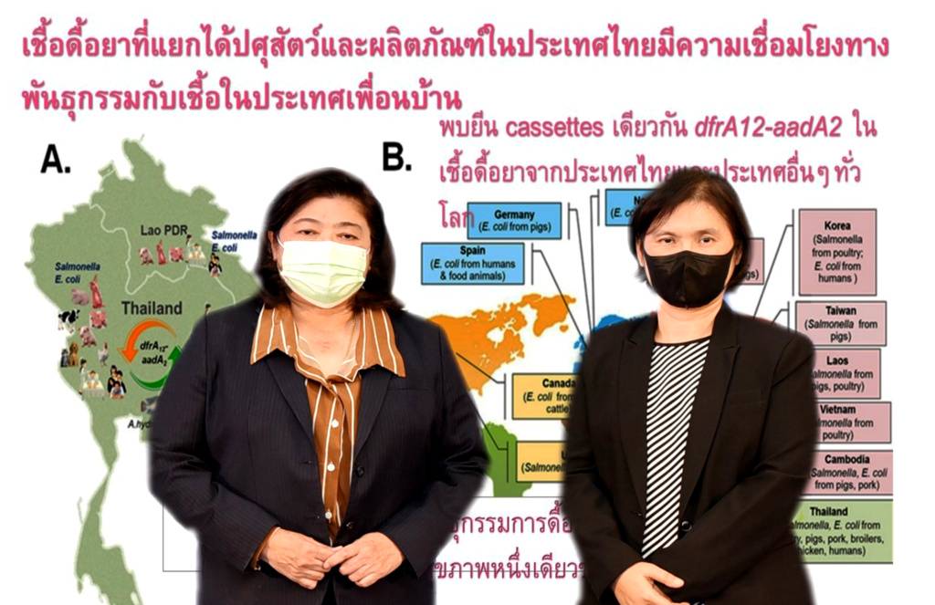 วช. เชิดชูนักวิจัยดีเด่นแห่งชาติ ปี 65 แก้ปัญหาเชื้อดื้อยาในสัตว์ จากแนวคิด “สุขภาพหนึ่งเดียว” 