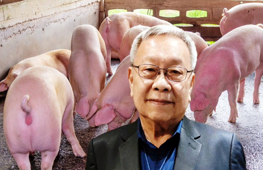 เตือน ASF ยังระบาดทั้งภูมิภาค ดันต้นทุนป้องกันโรคพุ่ง