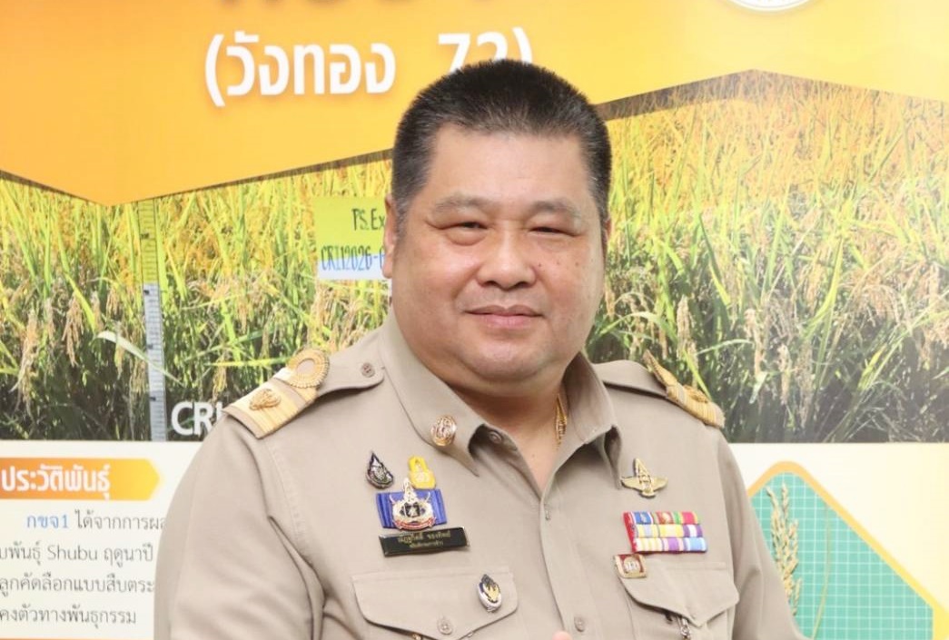 กรมข้าว รุกรณรงค์ชาวนา “ทำนาสะอาด” มุ่งผลิตข้าวคุณภาพ พร้อมหนุนปลูกพืชหมุนเวียน