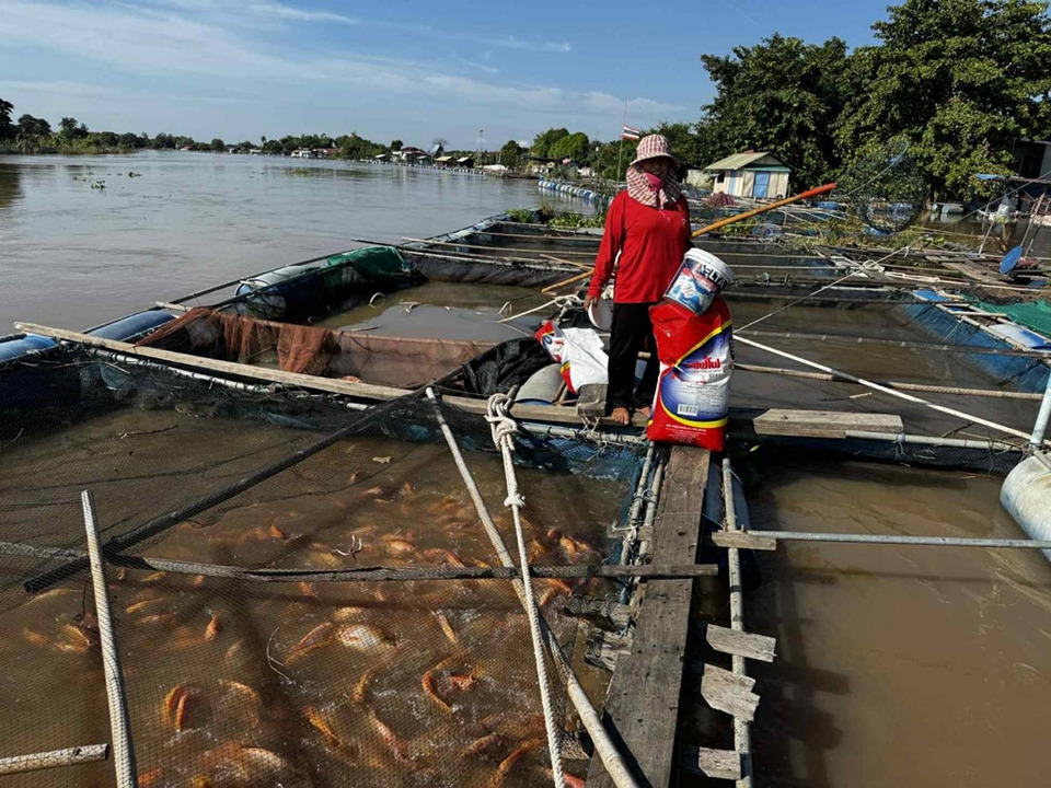 ไม่รอน้ำลด!! เกษตรและสหกรณ์อ่างทองลงพื้นที่สำรวจความเสียหายเกษตรกรน้ำท่วม