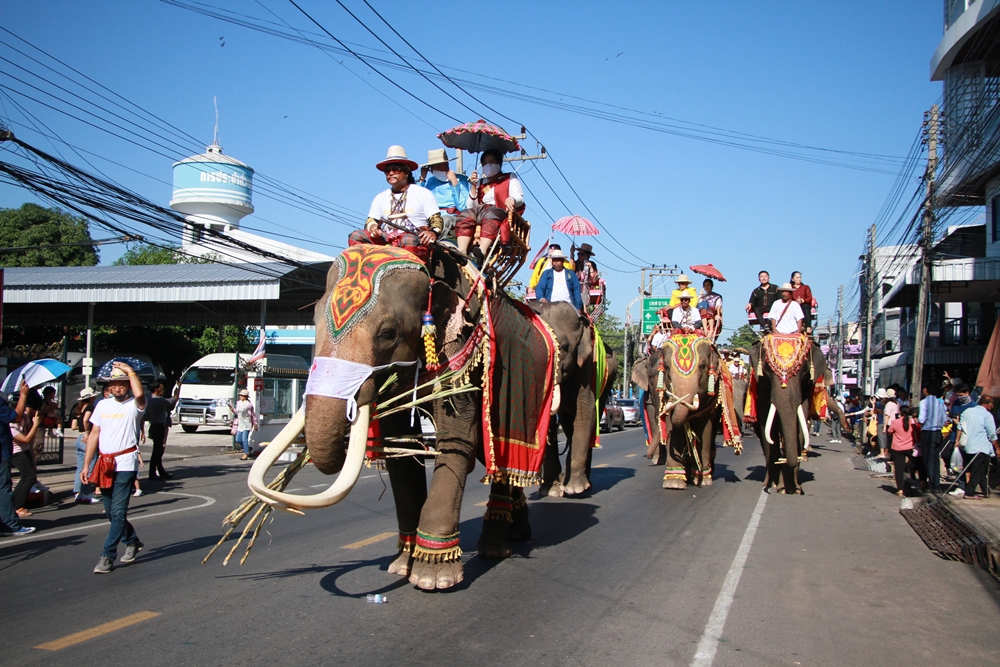 นทท. ตื่นตาตื่นใจขบวนช้างกว่า 160 เชือก พาเหรดเข้าเมือง ร่วมงานเลี้ยงต้อนรับ