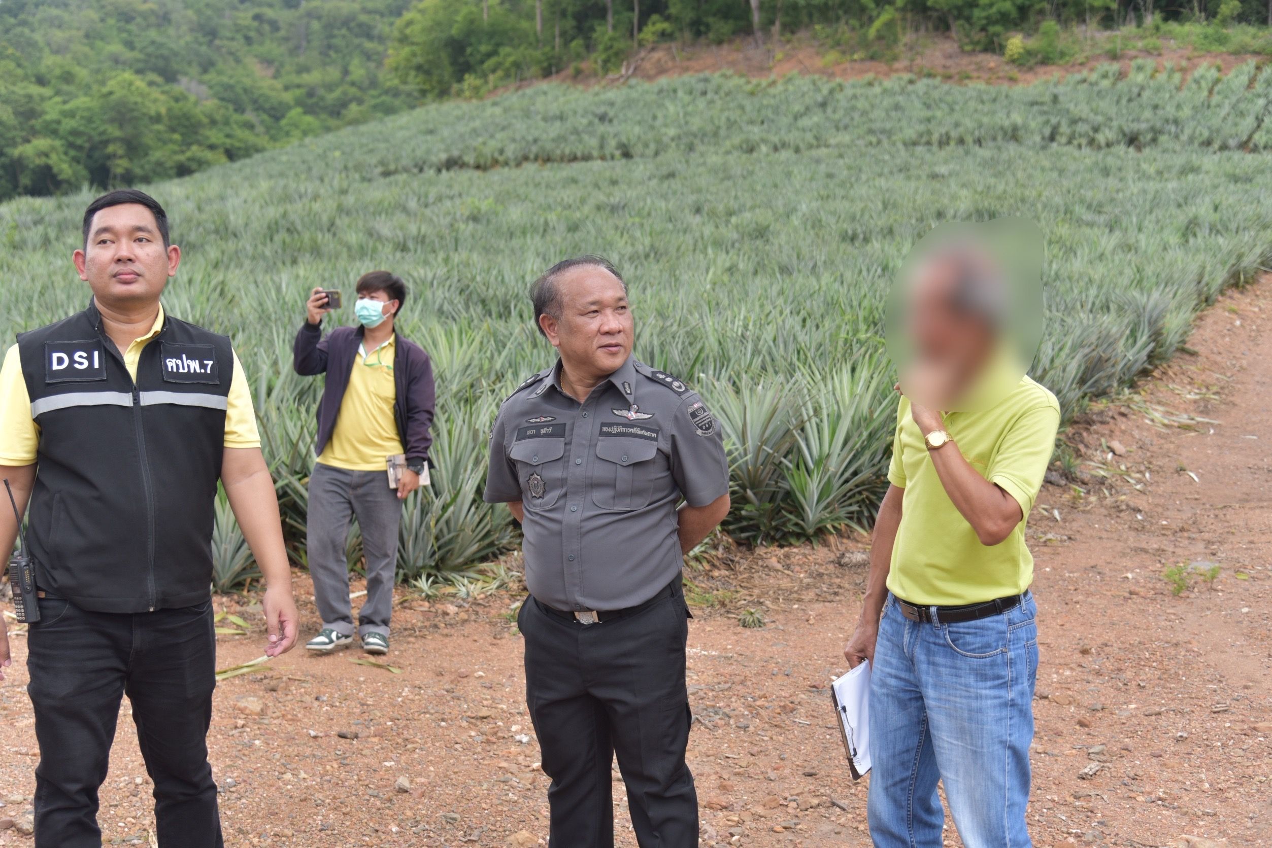 DSI สนธิกำลัง ตรวจสอบรุกที่ป่าไม้ ทำไร่สับปะรด กว่า 500 ไร่ ใน อ.ปากท่อ จ.ราชบุรี