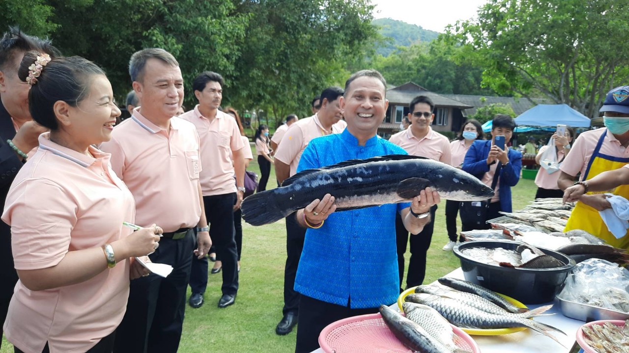 อ.แก่งกระจาน ร่วมททท เพชรบุรี เชิญเที่ยวงาน “เทศกาลกินปลา พาเที่ยวแก่งกระจาน” 