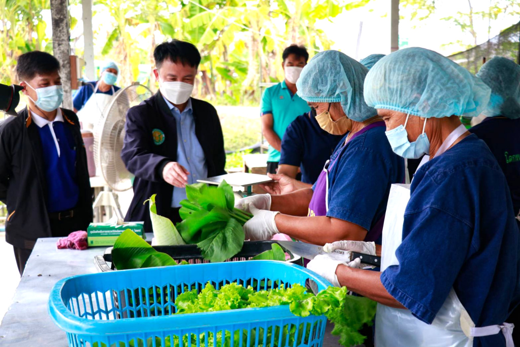 ลุยยกระดับสหกรณ์ฯพืชผักอินทรีย์หนองสนิท สู่ศูนย์เรียนรู้ "เกษตรอินทรีย์" ครบวงจร