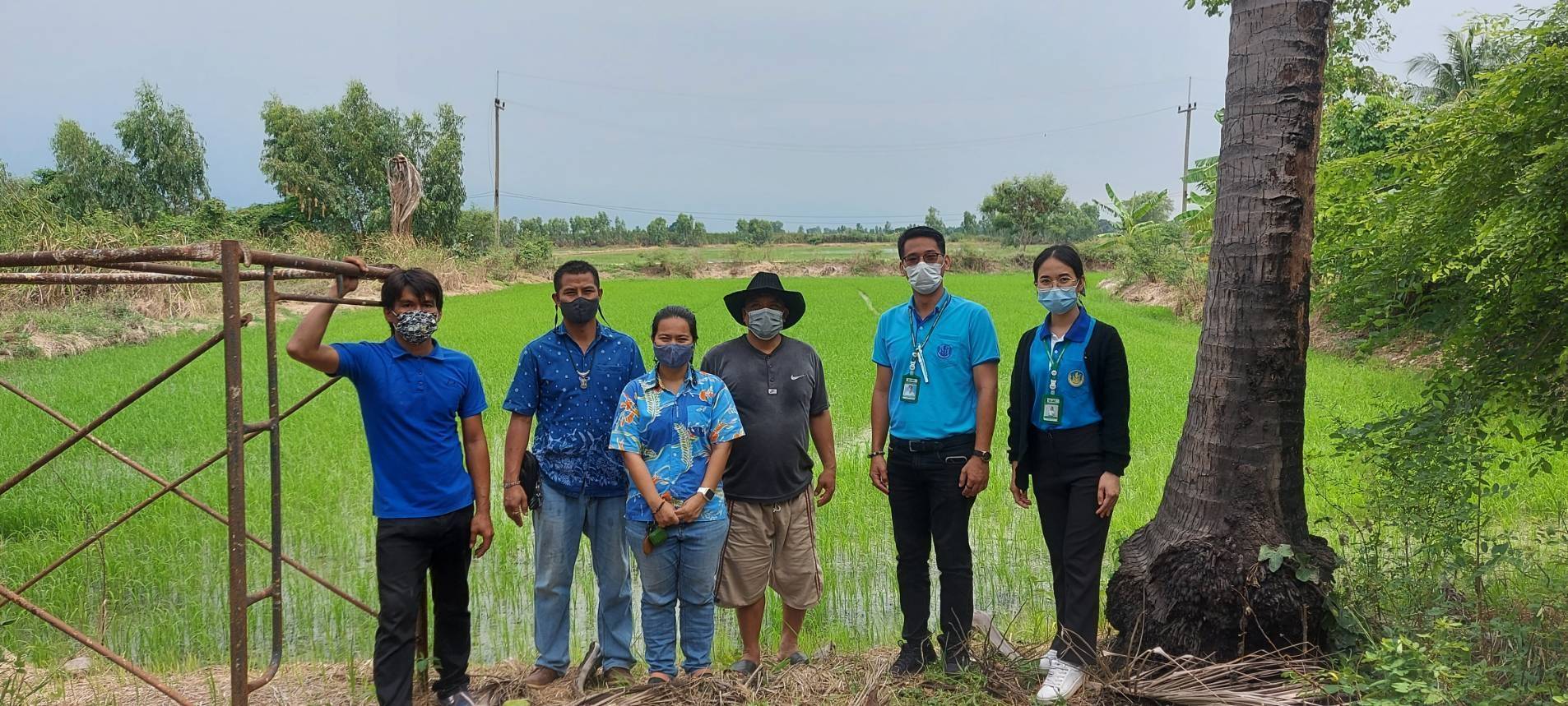 กรมส่งเสริมการเกษตร ร่วมกับ สจล. พัฒนาแอพพลิเคชั่น  “DOAE Pest Forecast” ระบบรายงานการระบาดศัตรูพืช