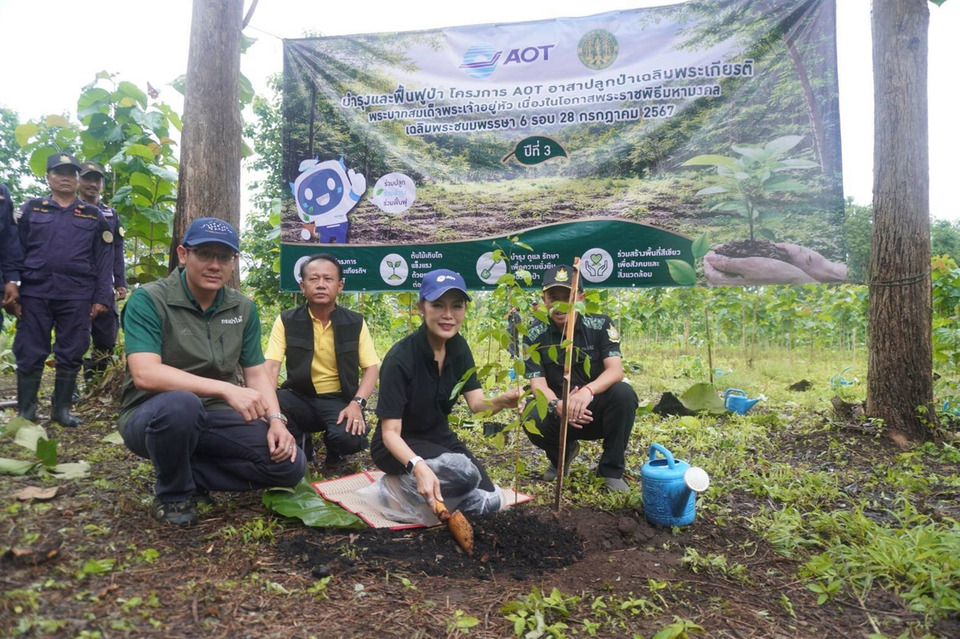 AOT เดินหน้าฟื้นฟูป่าปี 3 ปลูกสัก 7.2 หมื่นต้น สร้างพื้นที่สีเขียวต้นน้ำกาญจนบุรี