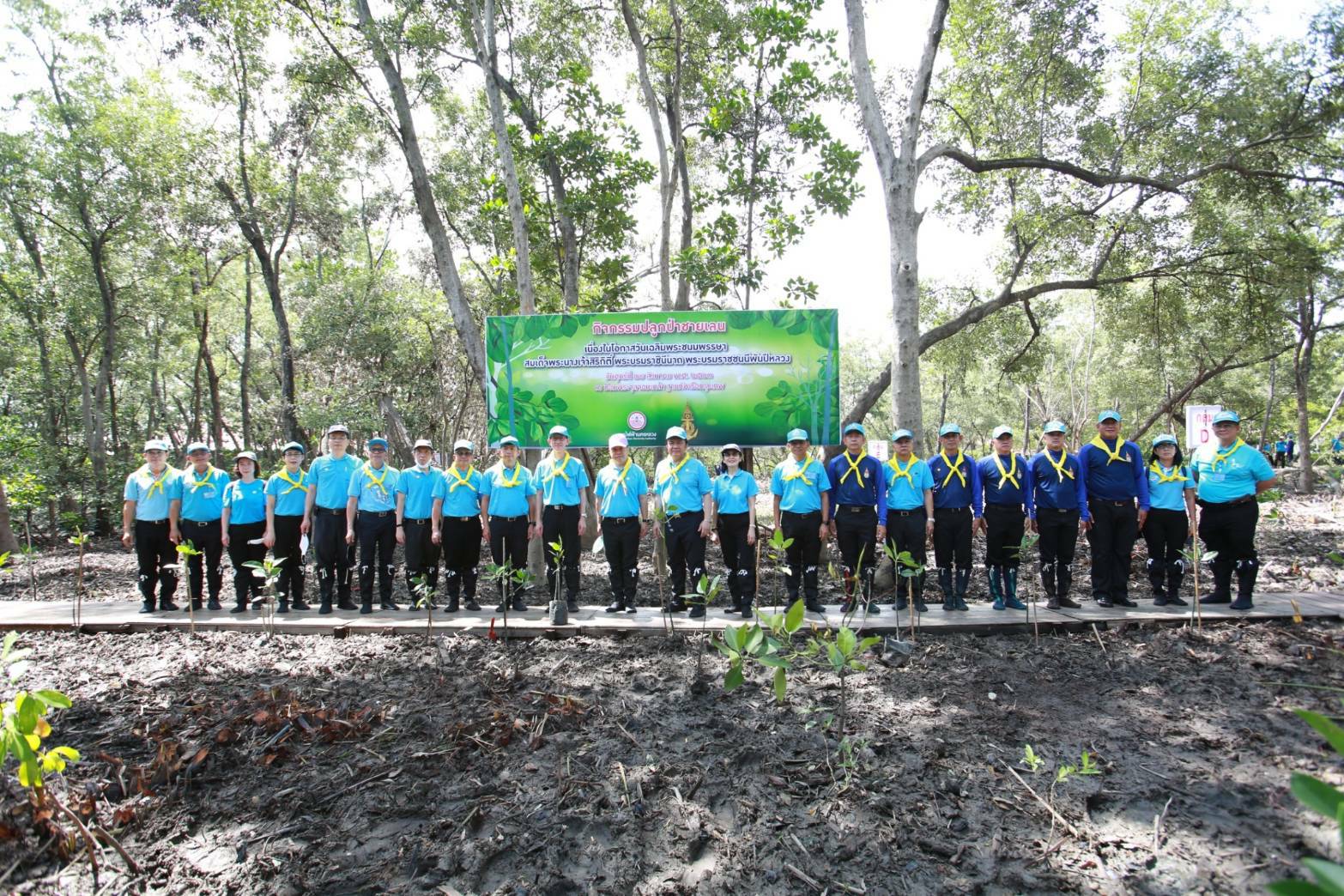 MEA รวมพลังปลูกป่าชายเลนเฉลิมพระเกียรติฯ ฟื้นฟูธรรมชาติอย่างยั่งยืน