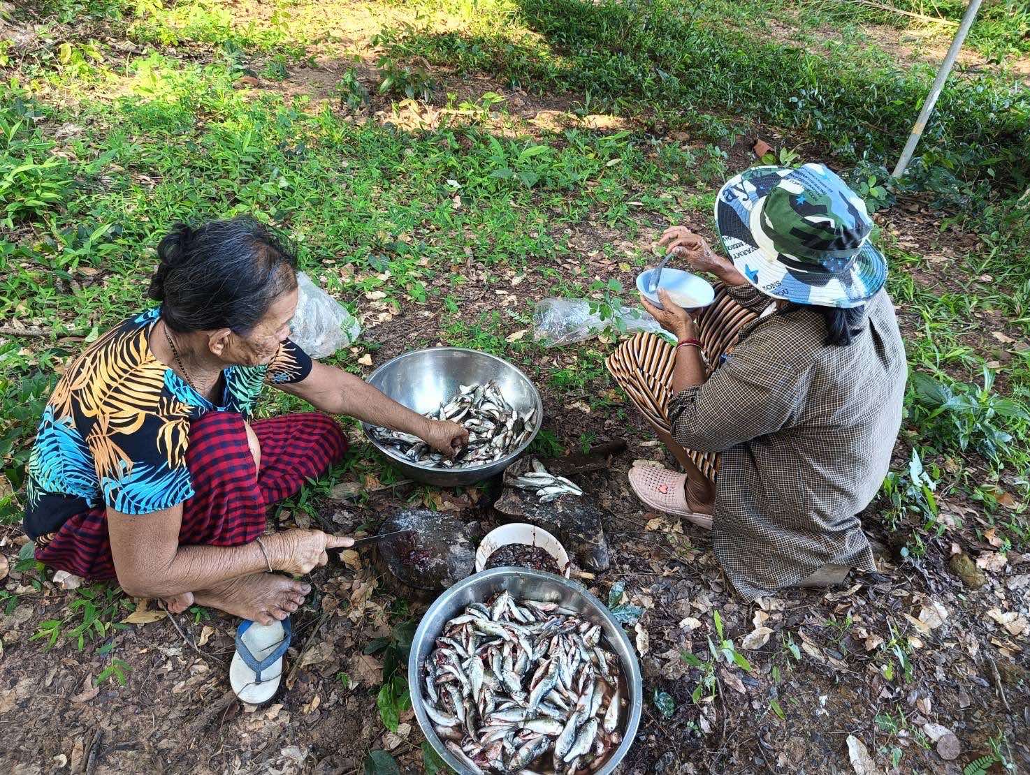 การพัฒนาของรัฐ!! “ภาคประชาชน-นักวิชาการ”ชี้เหตุปลาแม่น้ำชีลดลง