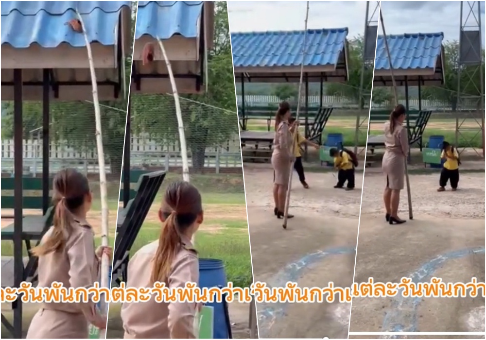 เป็นทุกอย่างจริงๆ! คุณครูช่วยเขี่ยรองเท้าผ้าใบที่อยู่บนหลังคาให้นักเรียน 
