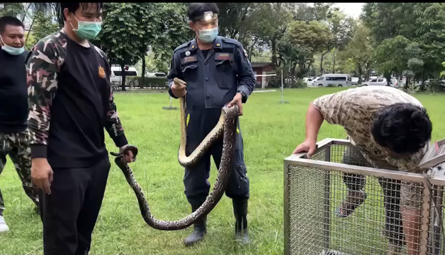 ดับเพลิงบางเขน จับงูเหลือม 2 ตัว กัดเจ้าหน้าที่ภายในศูนย์วิจัยและฝึกอบรมการป่าไม้